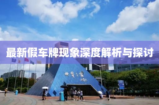 最新假车牌现象深度解析与探讨
