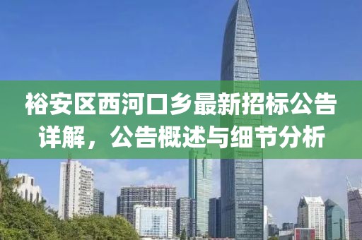 裕安区西河口乡最新招标公告详解，公告概述与细节分析