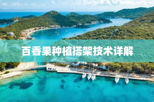 百香果种植搭架技术详解