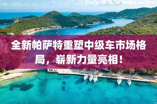 全新帕萨特重塑中级车市场格局，崭新力量亮相！