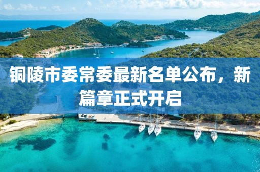 铜陵市委常委最新名单公布，新篇章正式开启
