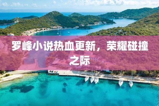 罗峰小说热血更新，荣耀碰撞之际