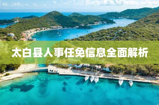 太白县人事任免信息全面解析