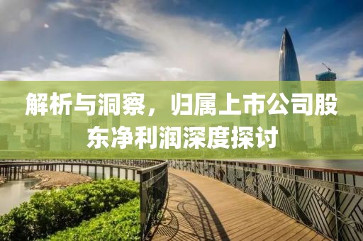 解析与洞察，归属上市公司股东净利润深度探讨