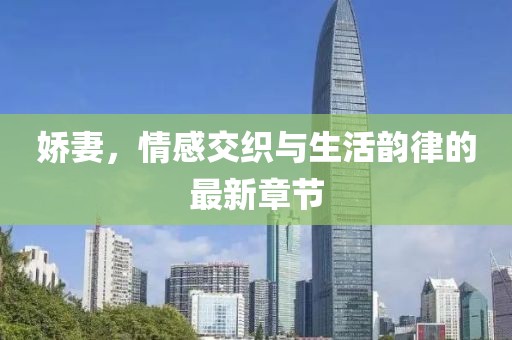 娇妻，情感交织与生活韵律的最新章节