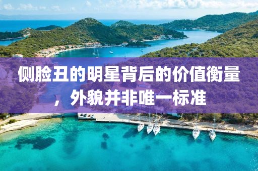 侧脸丑的明星背后的价值衡量，外貌并非唯一标准