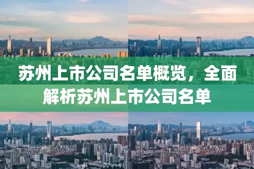 苏州上市公司名单概览，全面解析苏州上市公司名单