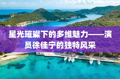星光璀璨下的多维魅力——演员徐佳宁的独特风采