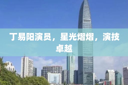 丁易阳演员，星光熠熠，演技卓越