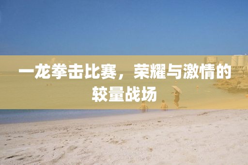一龙拳击比赛，荣耀与激情的较量战场
