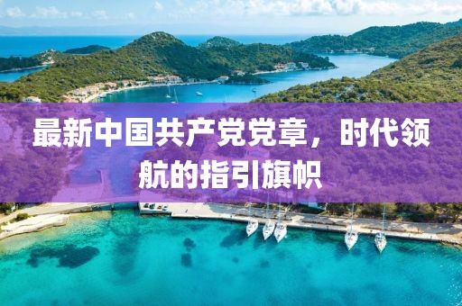 最新中国共产党党章，时代领航的指引旗帜