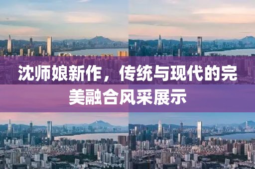 沈师娘新作，传统与现代的完美融合风采展示