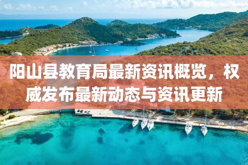 阳山县教育局最新资讯概览，权威发布最新动态与资讯更新