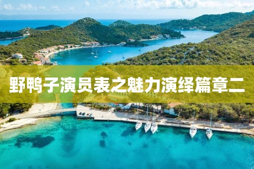 野鸭子演员表之魅力演绎篇章二