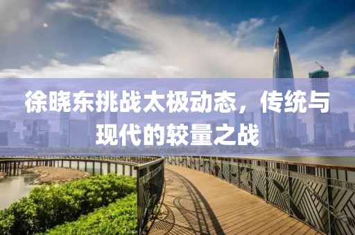 徐晓东挑战太极动态，传统与现代的较量之战