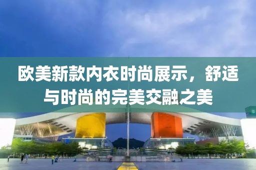 欧美新款内衣时尚展示，舒适与时尚的完美交融之美