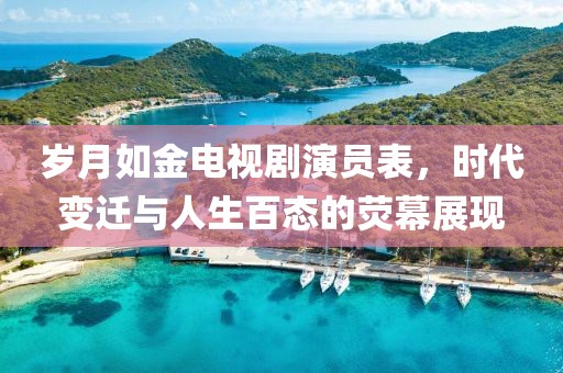 岁月如金电视剧演员表，时代变迁与人生百态的荧幕展现