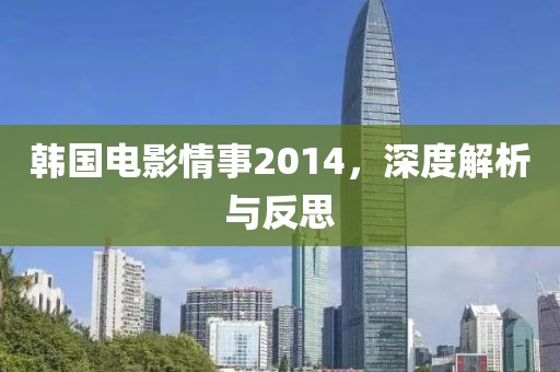 韩国电影情事2014，深度解析与反思