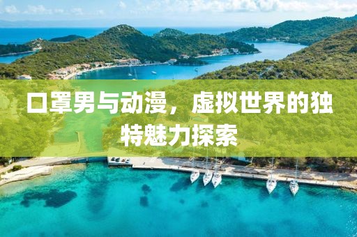 口罩男与动漫，虚拟世界的独特魅力探索