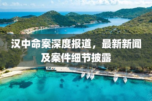 汉中命案深度报道，最新新闻及案件细节披露