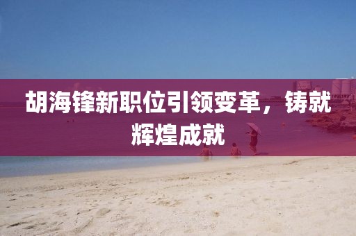 胡海锋新职位引领变革，铸就辉煌成就