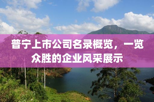 普宁上市公司名录概览，一览众胜的企业风采展示