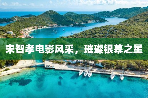 宋智孝电影风采，璀璨银幕之星