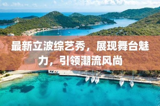 最新立波综艺秀，展现舞台魅力，引领潮流风尚