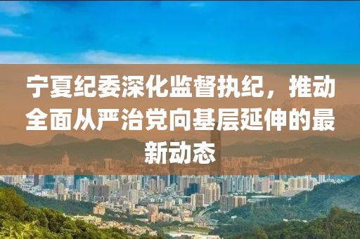 宁夏纪委深化监督执纪，推动全面从严治党向基层延伸的最新动态