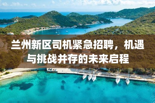 兰州新区司机紧急招聘，机遇与挑战并存的未来启程