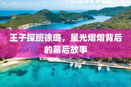 王子探班徐璐，星光熠熠背后的幕后故事