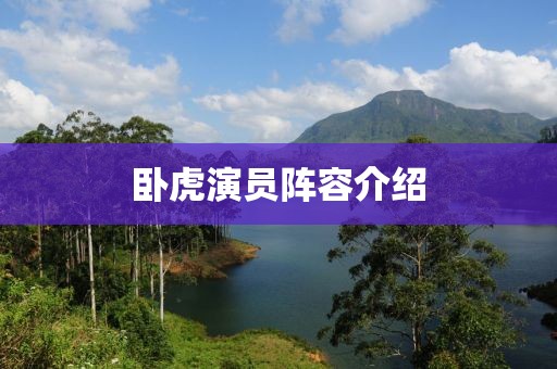 卧虎演员阵容介绍