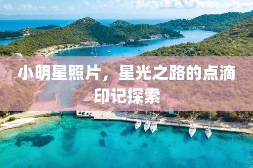 小明星照片，星光之路的点滴印记探索