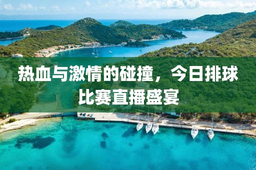 热血与激情的碰撞，今日排球比赛直播盛宴
