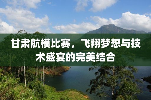 甘肃航模比赛，飞翔梦想与技术盛宴的完美结合