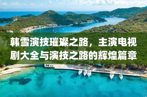 韩雪演技璀璨之路，主演电视剧大全与演技之路的辉煌篇章