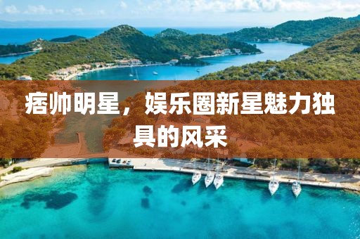 痞帅明星，娱乐圈新星魅力独具的风采