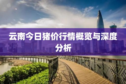 云南今日猪价行情概览与深度分析