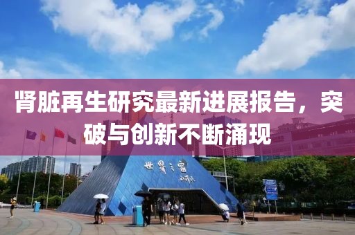 肾脏再生研究最新进展报告，突破与创新不断涌现