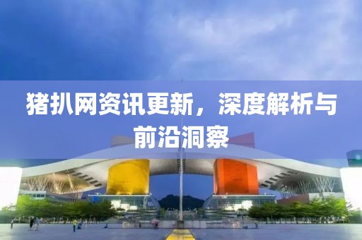 猪扒网资讯更新，深度解析与前沿洞察