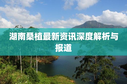 湖南桑植最新资讯深度解析与报道