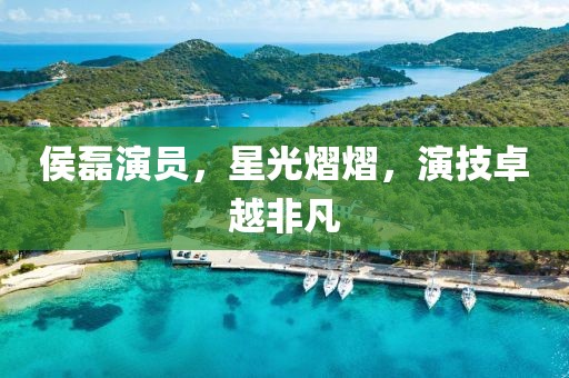 侯磊演员，星光熠熠，演技卓越非凡