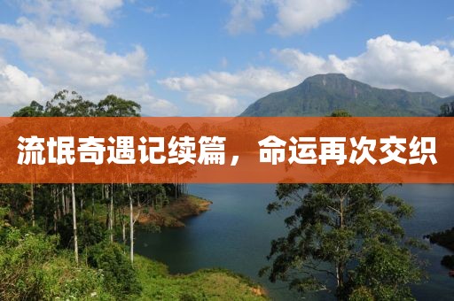 流氓奇遇记续篇，命运再次交织