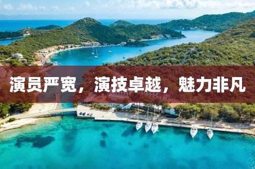 演员严宽，演技卓越，魅力非凡