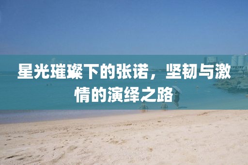 星光璀璨下的张诺，坚韧与激情的演绎之路