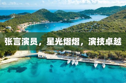 张言演员，星光熠熠，演技卓越