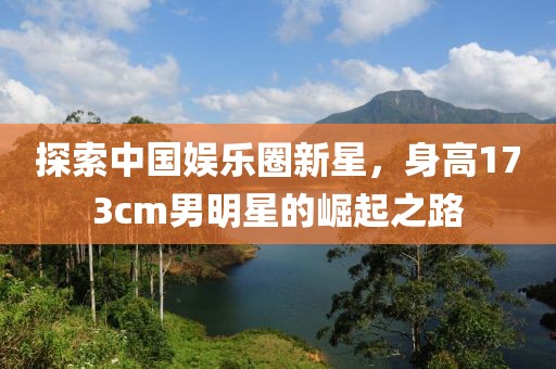 探索中国娱乐圈新星，身高173cm男明星的崛起之路