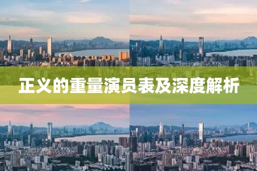 正义的重量演员表及深度解析