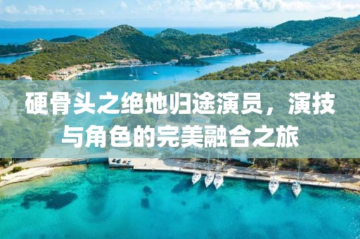 硬骨头之绝地归途演员，演技与角色的完美融合之旅