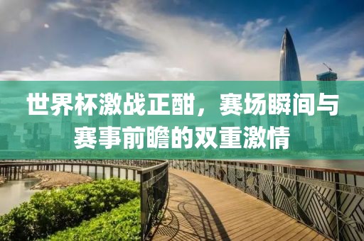 世界杯激战正酣，赛场瞬间与赛事前瞻的双重激情